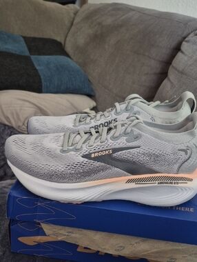 Brooks Adrenaline GTS 25 Women’s 10M Gray Pink NWT